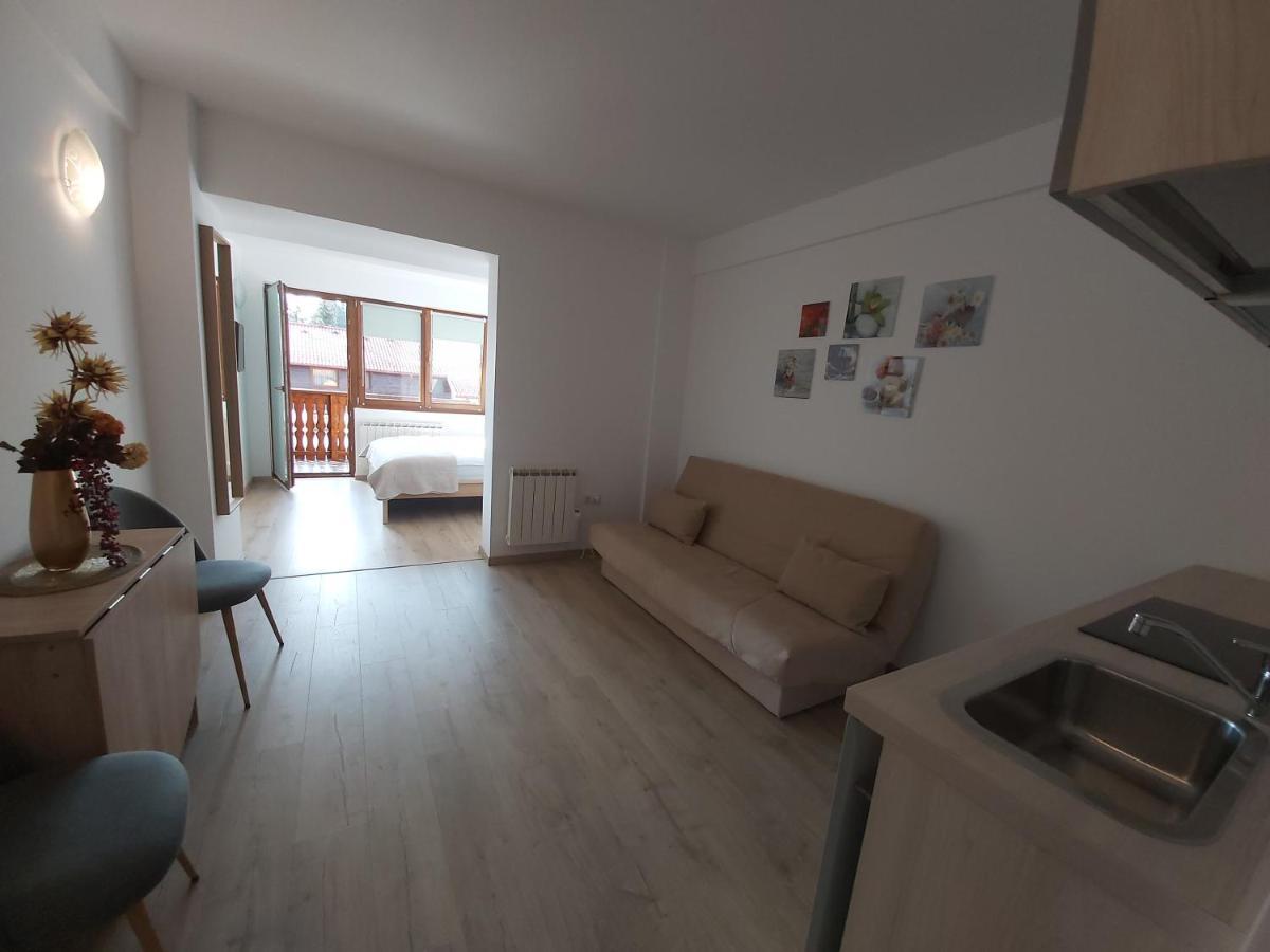 Studio Montana Poiana Brasov Ngoại thất bức ảnh